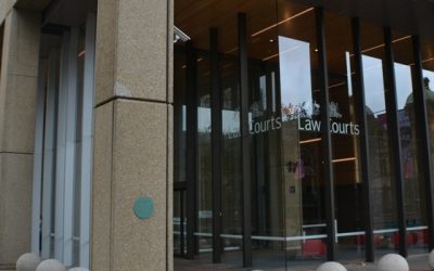 Expert Witness & Legal Support